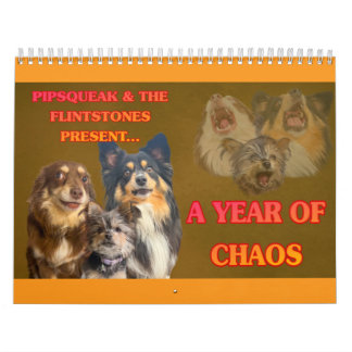 Calendrier The Whole Gang