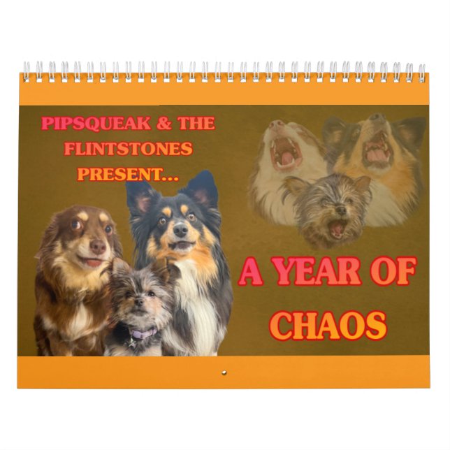 Calendrier The Whole Gang (Protection)