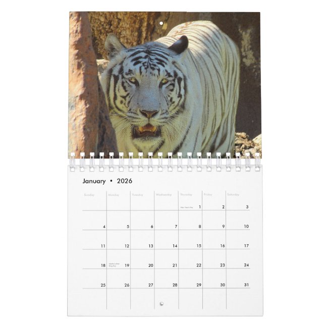 Calendrier Tigre (Jan 2026)