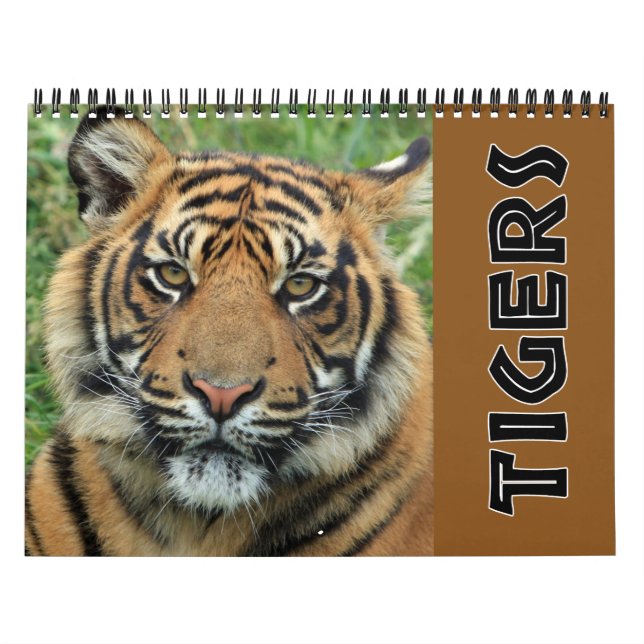 Calendrier Tigre sauvage 2022 (Protection)
