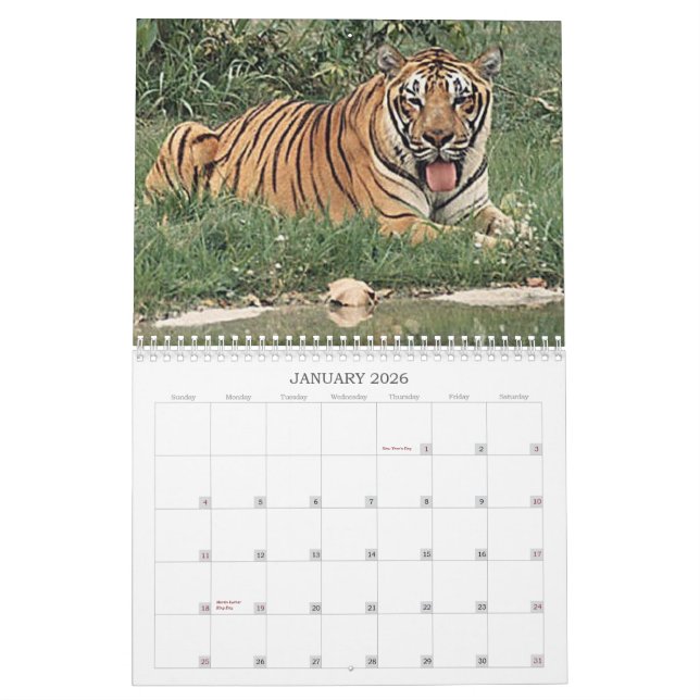 Calendrier Tigres (Jan 2026)