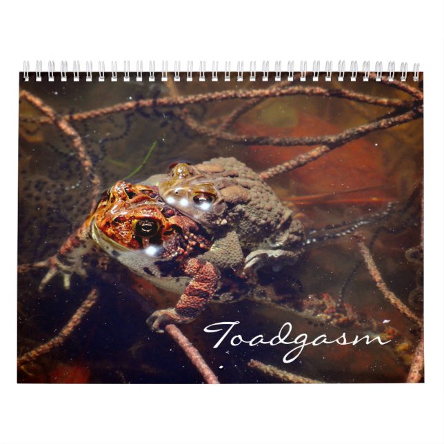 Calendrier Toadgasm (Protection)