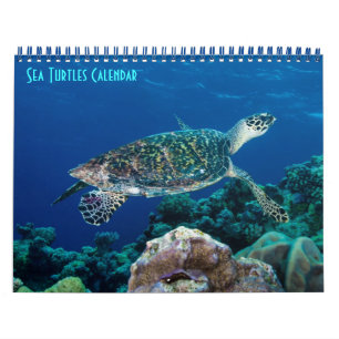 Calendrier Tortue de mer de Hawksbill Grande barrière récif