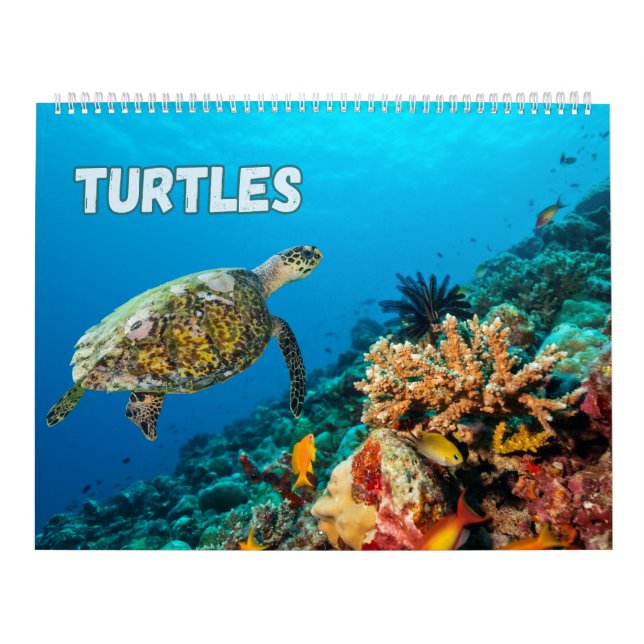 Calendrier Tortues de mer et tortues (Protection)