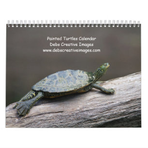 Calendrier Tortues peintes des Adirondacks 2027 Faune