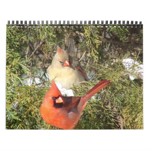 Calendrier Tous les cardinaux