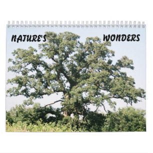 Calendrier Tree-02, NATURE, SE DEMANDE