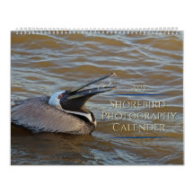 Calendrier Tropical 2025, Oiseaux De Plage Au Para