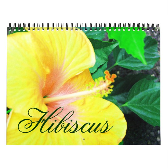 Calendrier Tropical Hibiscus Flowers (Protection)