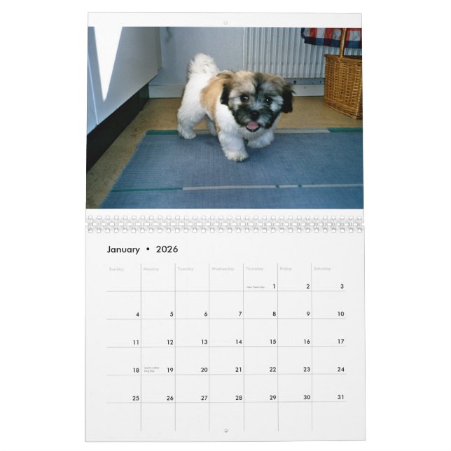 calendrier tulear du coton De (Jan 2026)