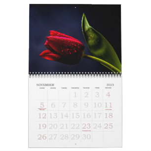 Calendrier Tulip Beautiful Rose Holland Flowers 2025