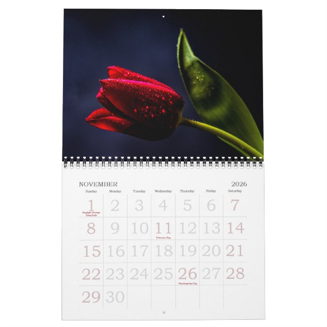 Calendrier Tulipe élégante et fleurs florales Roses Photograp (Nov 2026)