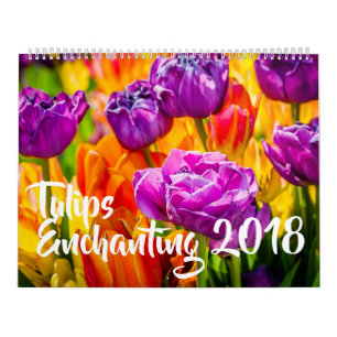 Calendrier Tulipes Enchanter belle