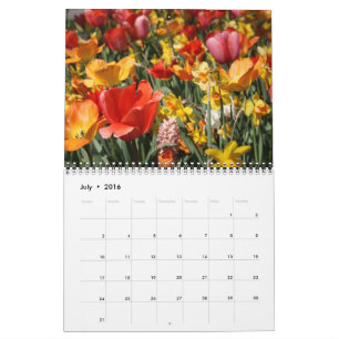 Calendrier Tulipes et moulins à vent