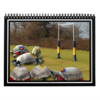 Turtle Rugby