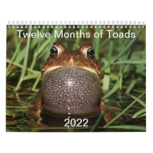 Calendrier Twelve Months of Toads: 2022 Calendar
