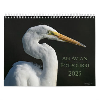 Calendrier Un Potpourri Avian 2025