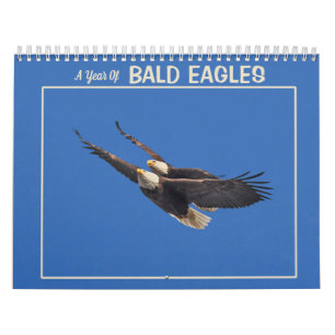 Calendrier Une Année D'Aigles Baltes