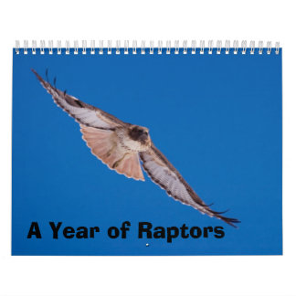 Calendrier Une année de Raptors