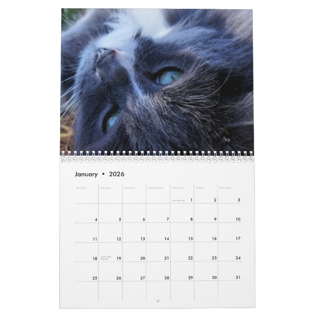 Calendrier Une année des chats - personnaliser à n'importe (Jan 2026)