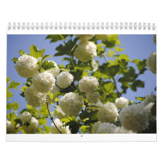 Calendrier une année des fleurs