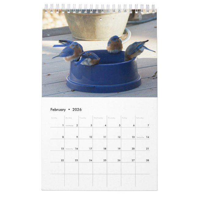Calendrier Une année pleine de bleuets (Feb 2026)