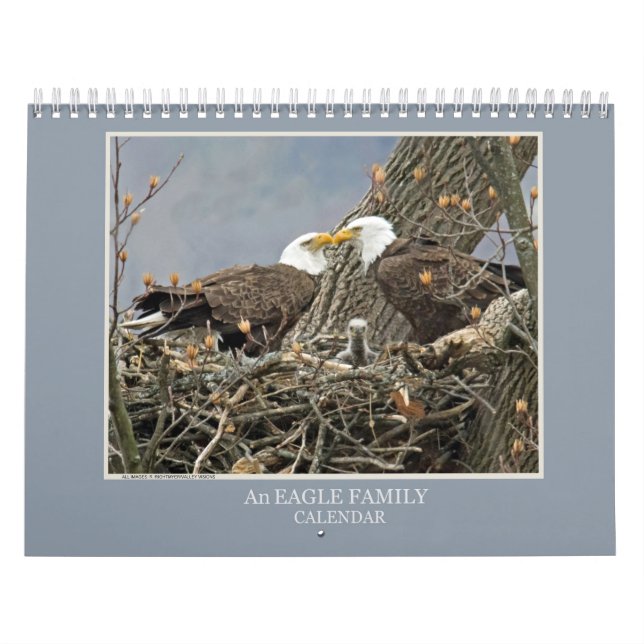 Calendrier Une famille d'aigle (Protection)