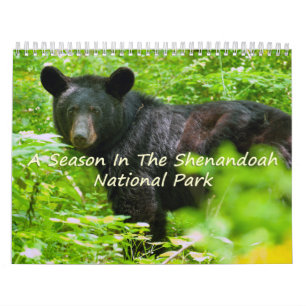 Calendrier Une Saison À Shenandoah Nat. Version Vautour du pa