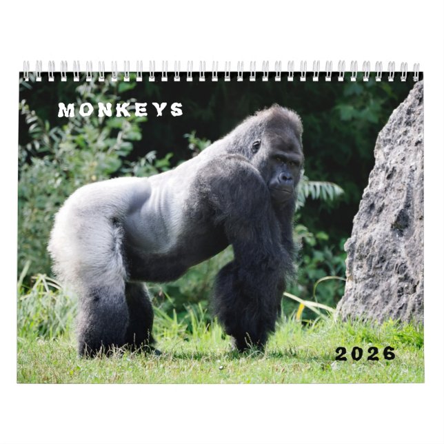 Calendrier Various monkeys calendar (Protection)