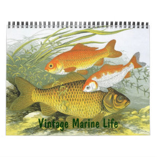 Calendrier Vie marine vintage Poissons, océans et rivières