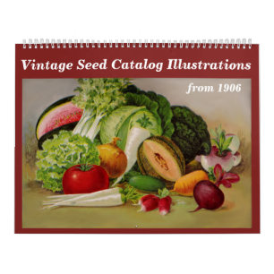 Calendrier Vintage -1906 - Illustrations du catalogue des sem