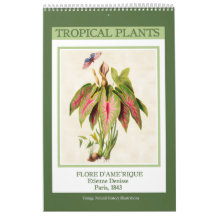 Vintage Botanique Tropical Plantes 2026