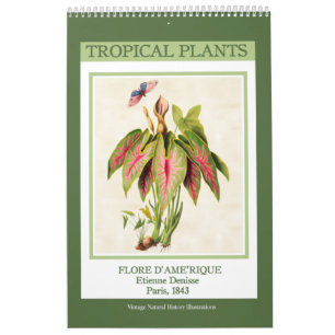 Calendrier Vintage Botanique Tropical Plantes 2026