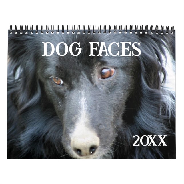 Calendrier Visages et Expressions de Chiens (Protection)