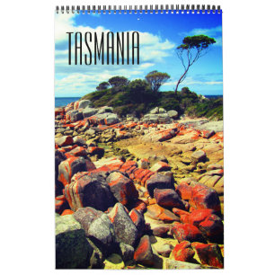 Calendrier voyage en savane