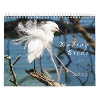 Calendrier Wading Birds of the USA - Photo originale
