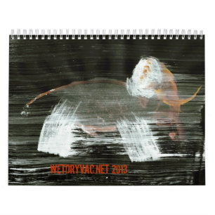 Calendrier Wetdryvac.Net 2013