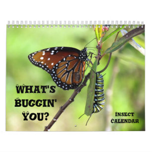 Calendrier What's Buggin' You - Insect Calendar - Edition 1
