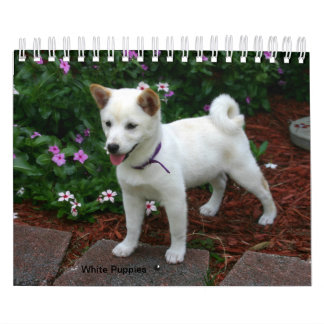 Calendrier White Puppies