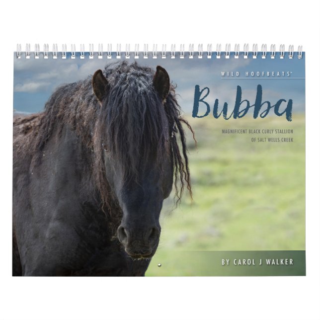 Calendrier Wild Horse Bubba (Protection)