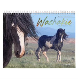 Calendrier Wild Horse Washakie
