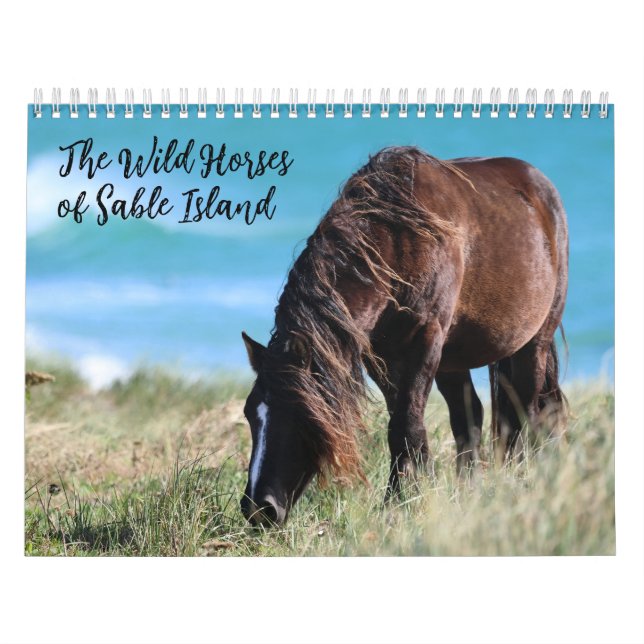 Calendrier Wild Horses of Sable Island (Protection)