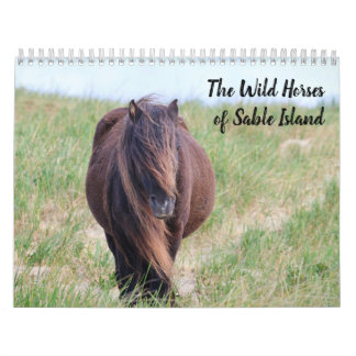 Calendrier Wild Horses of Sable Island Calendar