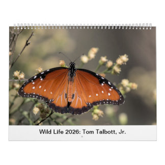Calendrier Wild Life 2026 Calendar