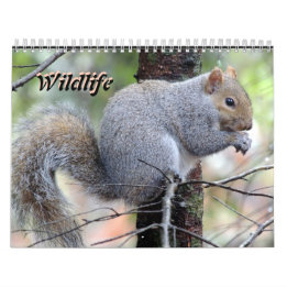 Calendrier Wild Life Calendar