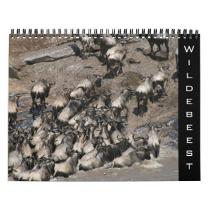 Calendrier wildebeest 2026