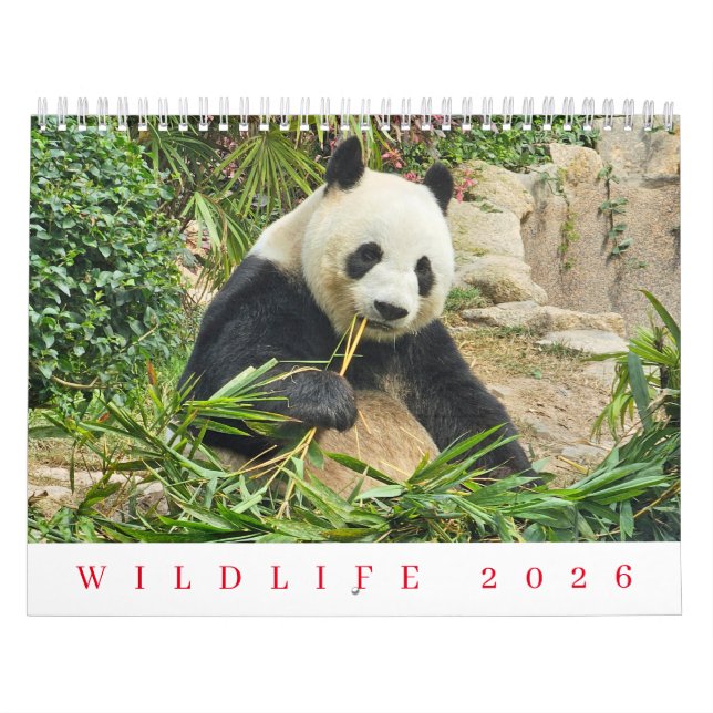 Calendrier Wildlife 2026 calendar (Protection)