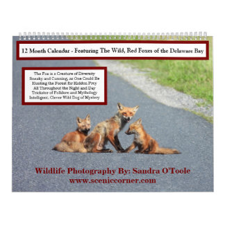 Calendrier Wildlife Calendar, Red Foxes