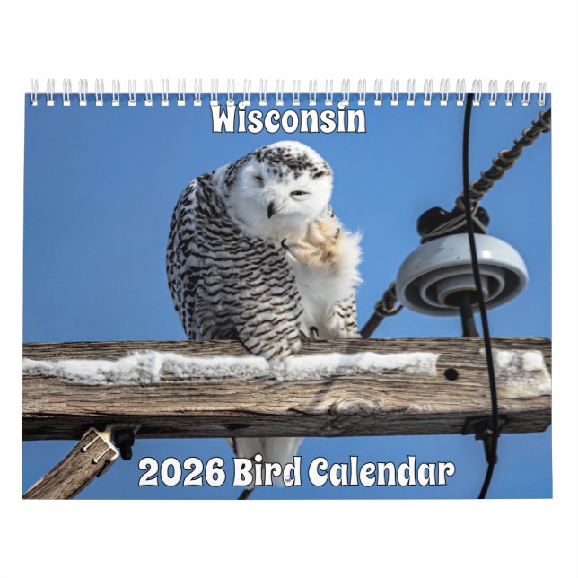Calendrier Wisconsin Birds Calendar 2026 (Protection)