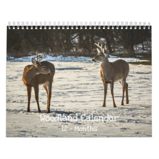 Calendrier Woodland Creatures Nature 